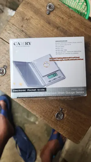 Electronic Pocket Scale