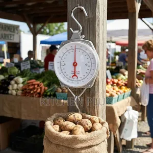 Mechanical Hanging Scales