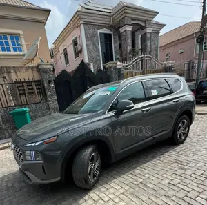 Hyundai Santa Fe 2022 Gray