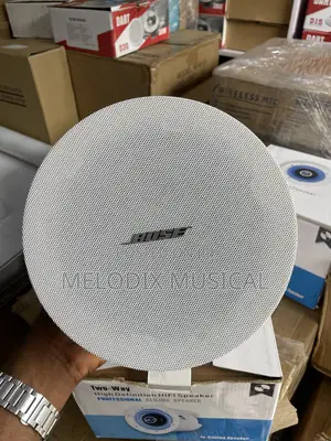 Bose Professional Ceiling Speakers