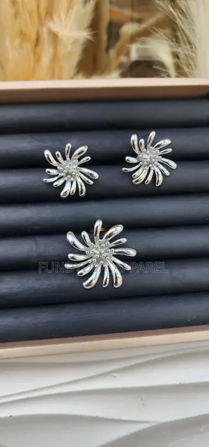 Silver Plated Swavy Earring and Pendant
