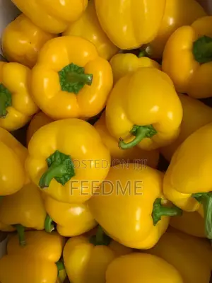 Yellow Bell Pepper