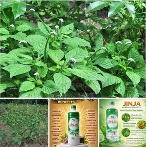 Jinja Herbal Extract