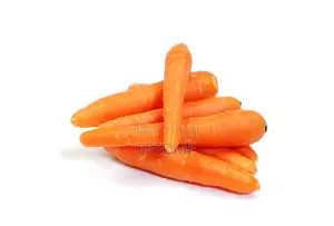 Fresh Carrot
