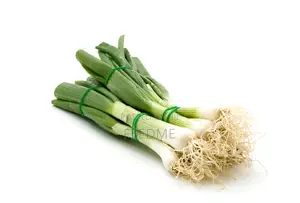 Spring Onion