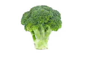 Fresh Broccoli