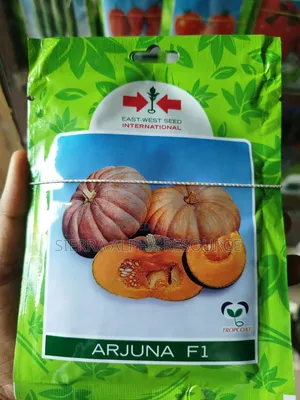 Pumpkin Seeds