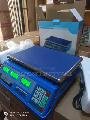 Electric Scale