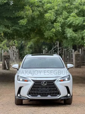 Lexus NX 2024 White