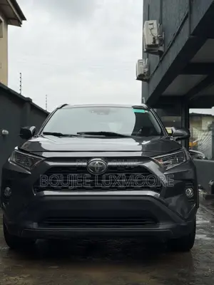 Toyota RAV4 XLE AWD 2020 Gray