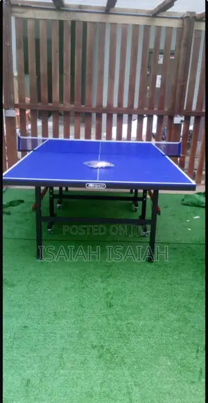 Outdoor Table Tennis