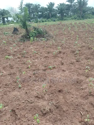 Plot of Land for Sale