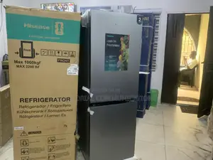 Hisense Rd-29dca 225l Refrigerator With Sleek Silver Exterior and Bott