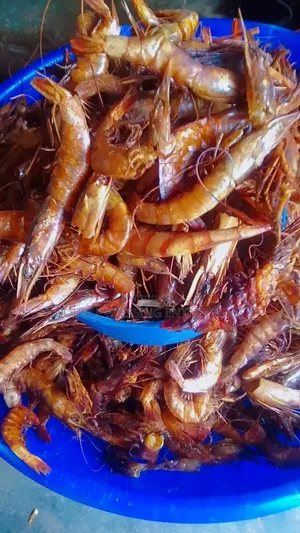 Oron Crayfish, Prawns and Blended Crayfish
