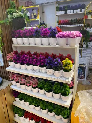Flowers Decor