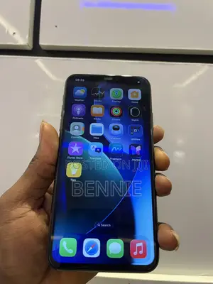Apple iPhone 11 Pro Max 256 GB Gray