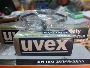 Uvex Safety Glasses