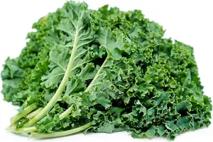 Fresh Kale