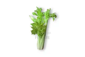 Fresh Celery