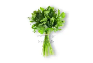 Fresh Parsley