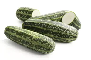 Fresh Marrow