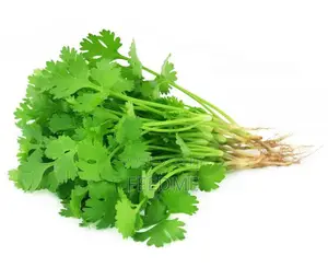 Coriander Leaf