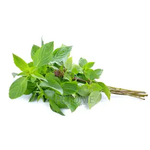 Fresh Basil