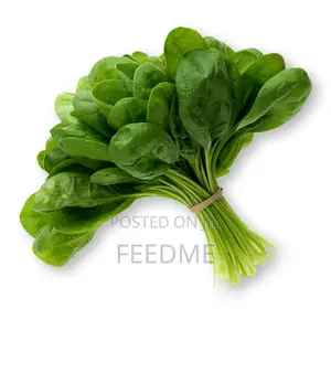 Fresh Spinach