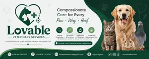 Doctor of Veterinary Medicine