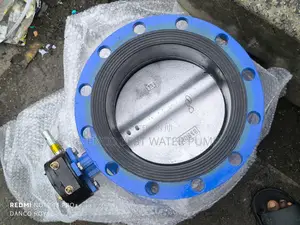 Flange Type Butterfly Valve 10inche