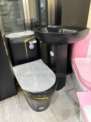Luxury Black and Gold Water Closet Set