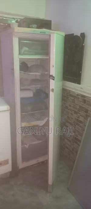 Hairtamaccool Standing Freezer for Sale