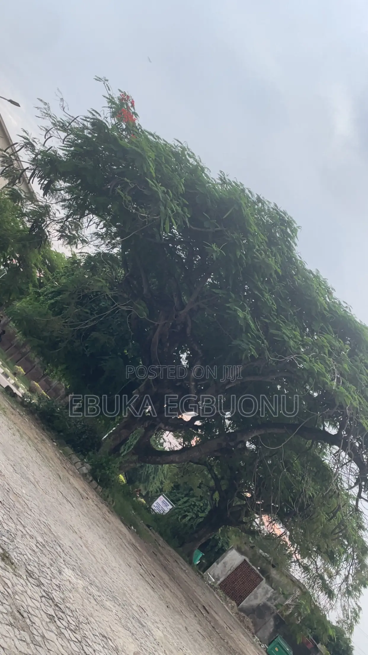 Video Editor
