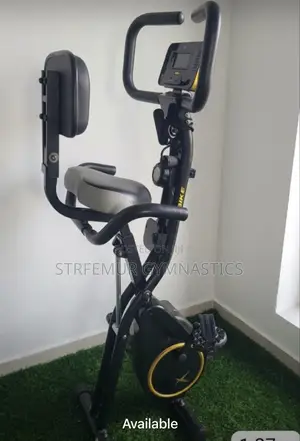 X Bike /Stationary Bike