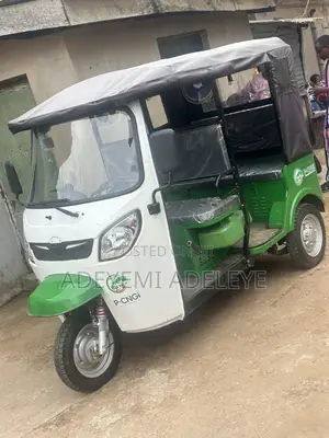 New Indian 2024 Green