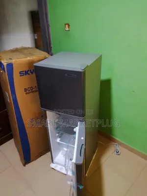 Brand New Skyrun 138l Double Door Refrigerator-Interior Light