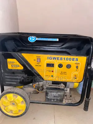 Thermocool Igwe8100es Generator