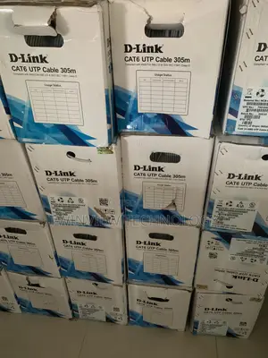 D-Link Cat6 Cable