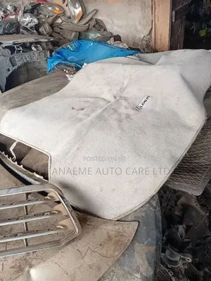 Lexus Rx350 Boot Rug Ash Colour