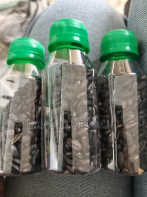 Sunflower Seed