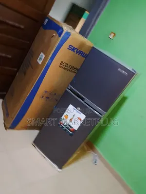 Brand New Skyrun BCD-138hw Double Door Refrigerator -Silver