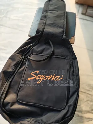 Acoustic Guitar Padded Bag
