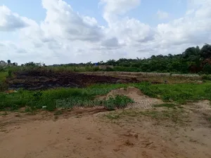 Half Plot of Land at Iteku, Ogun State