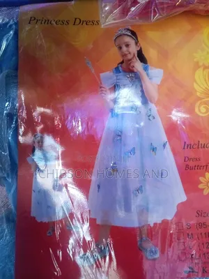Kids Blue Princess Dress Costume Set