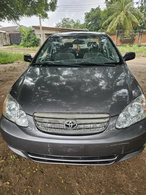 Toyota Corolla 2004 Gray