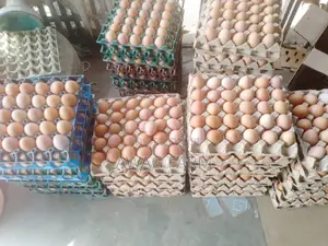 Eggs For Sale