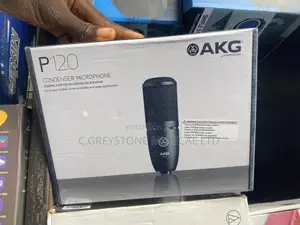 Akg P-120 Condenser Mic