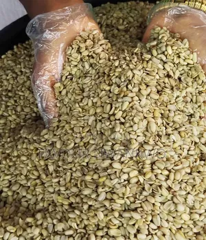 Dry Ukwa (Breadfruit In Igbo)