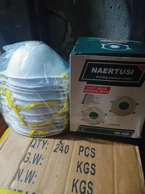Dust Mask With Filter