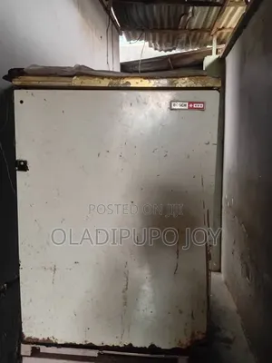 Standing Freezer